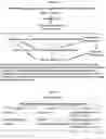 Fig. 04 - METHODS AND COMPOSITIONS FOR TREATING CHRONIC OBSTRUCTIVE PULMONARY DISEASE, ASTHMA, PNEUMONIA, BRONCHITIS, CYSTIC FIBROSIS, PULMONARY EDEMA, INTERSTITIAL LUNG DISEASE, SARCOIDOSIS, IDIOPATHIC PULMONARY FIBROSIS, ACUTE RESPIRATORY DISTRESS SYNDROME, AND PULMONARY ARTERIAL HYPERTENSION
