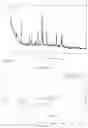 Fig. 14 - SALTS OF A COMPOUND, CRYSTAL FORMS OF THE SALTS AND PREPARATION METHOD AND USE THEREOF
