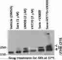Fig. 01 - METHODS FOR TREATING CYSTIC FIBROSIS