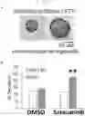 Fig. 04 - METHODS FOR TREATING CYSTIC FIBROSIS