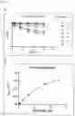 Fig. 04 - TREATMENT OF SMA