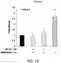 Fig. 15 - METHODS FOR TREATING ALZHEIMER DISEASE AND FOR REDUCING AMYLOID BETA FORMATION