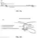 Fig. 03 - METHODS AND COMPOSITIONS FOR TREATING UREA CYCLE DISORDERS