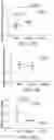 Fig. 25 - METHODS AND COMPOSITIONS FOR TREATING UREA CYCLE DISORDERS