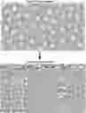 Fig. 01 - Pharmaceutical carriers capable of pH dependent reconstitution and methods for making and using same