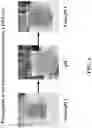 Fig. 05 - Pharmaceutical carriers capable of pH dependent reconstitution and methods for making and using same