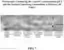 Fig. 08 - Pharmaceutical carriers capable of pH dependent reconstitution and methods for making and using same