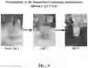 Fig. 10 - Pharmaceutical carriers capable of pH dependent reconstitution and methods for making and using same