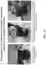 Fig. 14 - Pharmaceutical carriers capable of pH dependent reconstitution and methods for making and using same