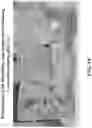 Fig. 19 - Pharmaceutical carriers capable of pH dependent reconstitution and methods for making and using same