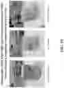Fig. 30 - Pharmaceutical carriers capable of pH dependent reconstitution and methods for making and using same