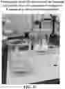 Fig. 34 - Pharmaceutical carriers capable of pH dependent reconstitution and methods for making and using same