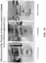 Fig. 35 - Pharmaceutical carriers capable of pH dependent reconstitution and methods for making and using same
