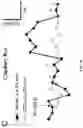 Fig. 21 - METHODS TO PROMOTE CEREBRAL BLOOD FLOW IN THE BRAIN