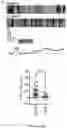 Fig. 29 - METHODS TO PROMOTE CEREBRAL BLOOD FLOW IN THE BRAIN