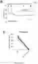 Fig. 37 - METHODS TO PROMOTE CEREBRAL BLOOD FLOW IN THE BRAIN