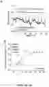 Fig. 42 - METHODS TO PROMOTE CEREBRAL BLOOD FLOW IN THE BRAIN
