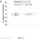 Fig. 47 - METHODS TO PROMOTE CEREBRAL BLOOD FLOW IN THE BRAIN