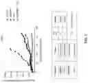 Fig. 02 - THERAPEUTIC COMBINATIONS COMPRISING ANTI-FOLR1 IMMUNOCONJUGATES