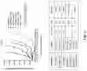 Fig. 04 - THERAPEUTIC COMBINATIONS COMPRISING ANTI-FOLR1 IMMUNOCONJUGATES