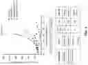 Fig. 05 - THERAPEUTIC COMBINATIONS COMPRISING ANTI-FOLR1 IMMUNOCONJUGATES