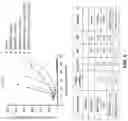 Fig. 07 - THERAPEUTIC COMBINATIONS COMPRISING ANTI-FOLR1 IMMUNOCONJUGATES