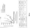 Fig. 09 - THERAPEUTIC COMBINATIONS COMPRISING ANTI-FOLR1 IMMUNOCONJUGATES