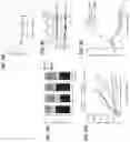 Fig. 10 - THERAPEUTIC COMBINATIONS COMPRISING ANTI-FOLR1 IMMUNOCONJUGATES