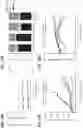Fig. 11 - THERAPEUTIC COMBINATIONS COMPRISING ANTI-FOLR1 IMMUNOCONJUGATES