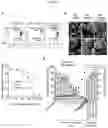 Fig. 04 - Compounds for treating and preventing net associated complications