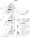 Fig. 07 - Compounds for treating and preventing net associated complications