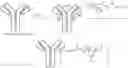 Fig. 01 - ANTIBODY DRUG CONJUGATES