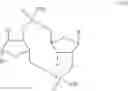 Fig. 84 - ANTIBODY DRUG CONJUGATES