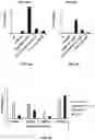 Fig. 06 - PRR-Activating and MicroRNA-Inhibiting Molecules and Methods of Using Same