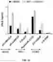 Fig. 12 - PRR-Activating and MicroRNA-Inhibiting Molecules and Methods of Using Same