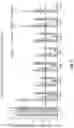 Fig. 06 - Multiplex shRNA for Use in Vectors