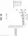Fig. 03 - Combination Treatment for Hematological Cancers