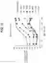 Fig. 20 - Combination Treatment for Hematological Cancers