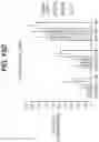 Fig. 29 - Combination Treatment for Hematological Cancers