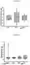 Fig. 03 - SYSTEM AND METHOD TO REDUCE TISSUE ORORGAN ADHESION