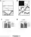 Fig. 06 - Anti-Inflammatory Compositions and Methods