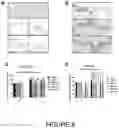 Fig. 07 - Anti-Inflammatory Compositions and Methods