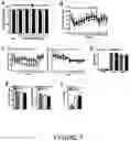 Fig. 08 - Anti-Inflammatory Compositions and Methods