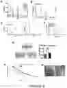Fig. 09 - Anti-Inflammatory Compositions and Methods