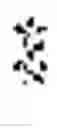 Fig. 28 - GENOME EDITED PRIMARY B CELL AND METHODS OF MAKING AND USING