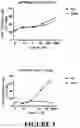 Fig. 04 - Compositions and methods for treating cancer with self-driving chimeric antigen receptors