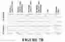 Fig. 11 - Compositions and methods for treating cancer with self-driving chimeric antigen receptors