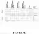 Fig. 12 - Compositions and methods for treating cancer with self-driving chimeric antigen receptors