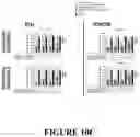 Fig. 21 - Compositions and methods for treating cancer with self-driving chimeric antigen receptors