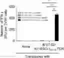 Fig. 01 - T CELL RECEPTORS AND METHODS OF USE THEREOF